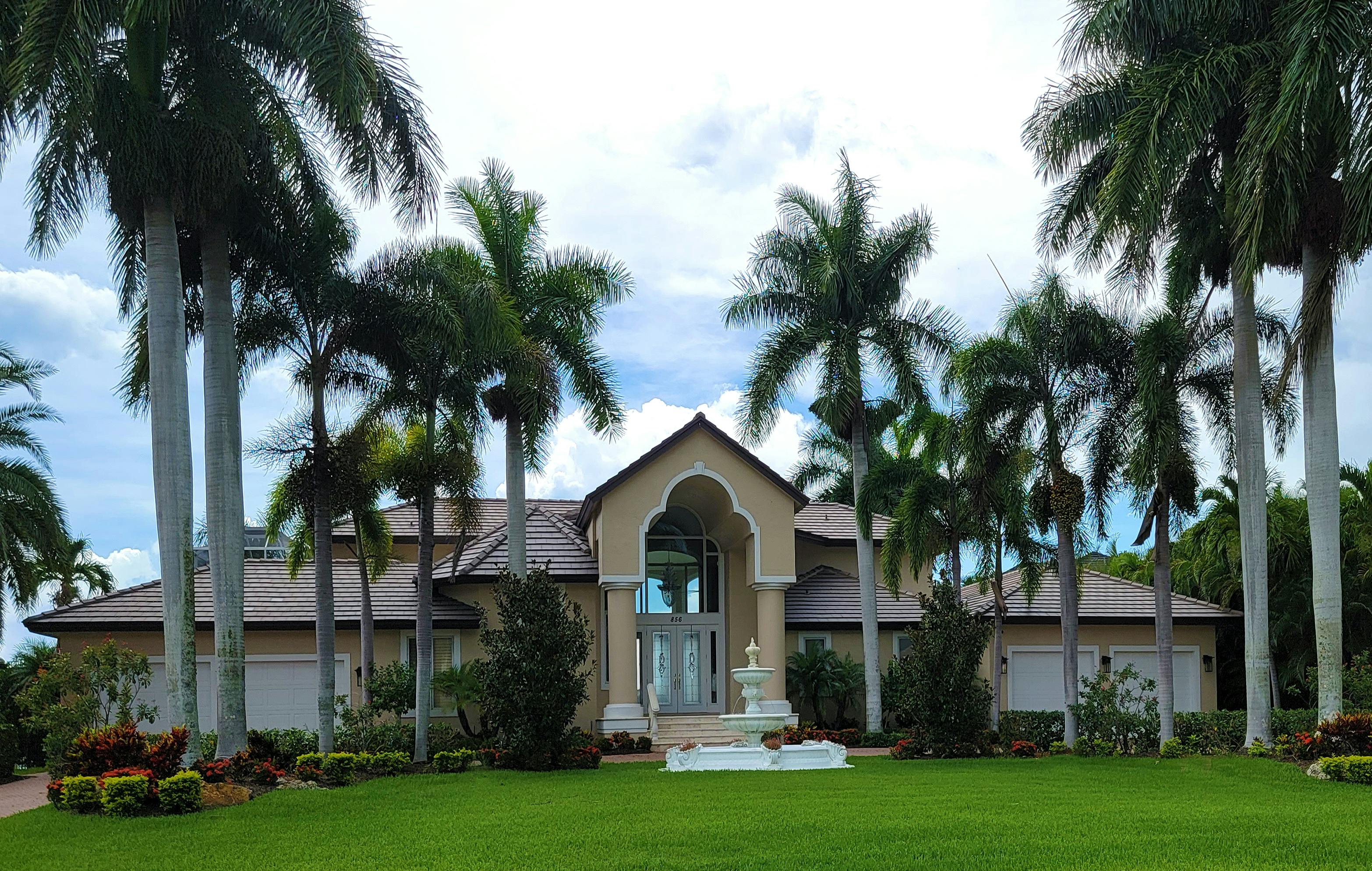 Paradise Valley